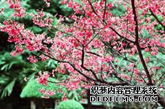 赣州准妈妈怎样做产前检查